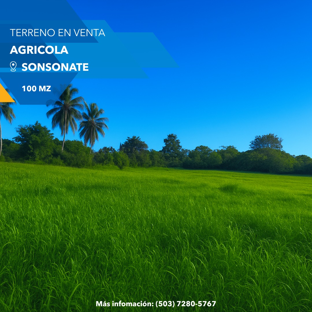 EN VENTA, 100 MZ AGRÍCOLAS EN SONSONATE