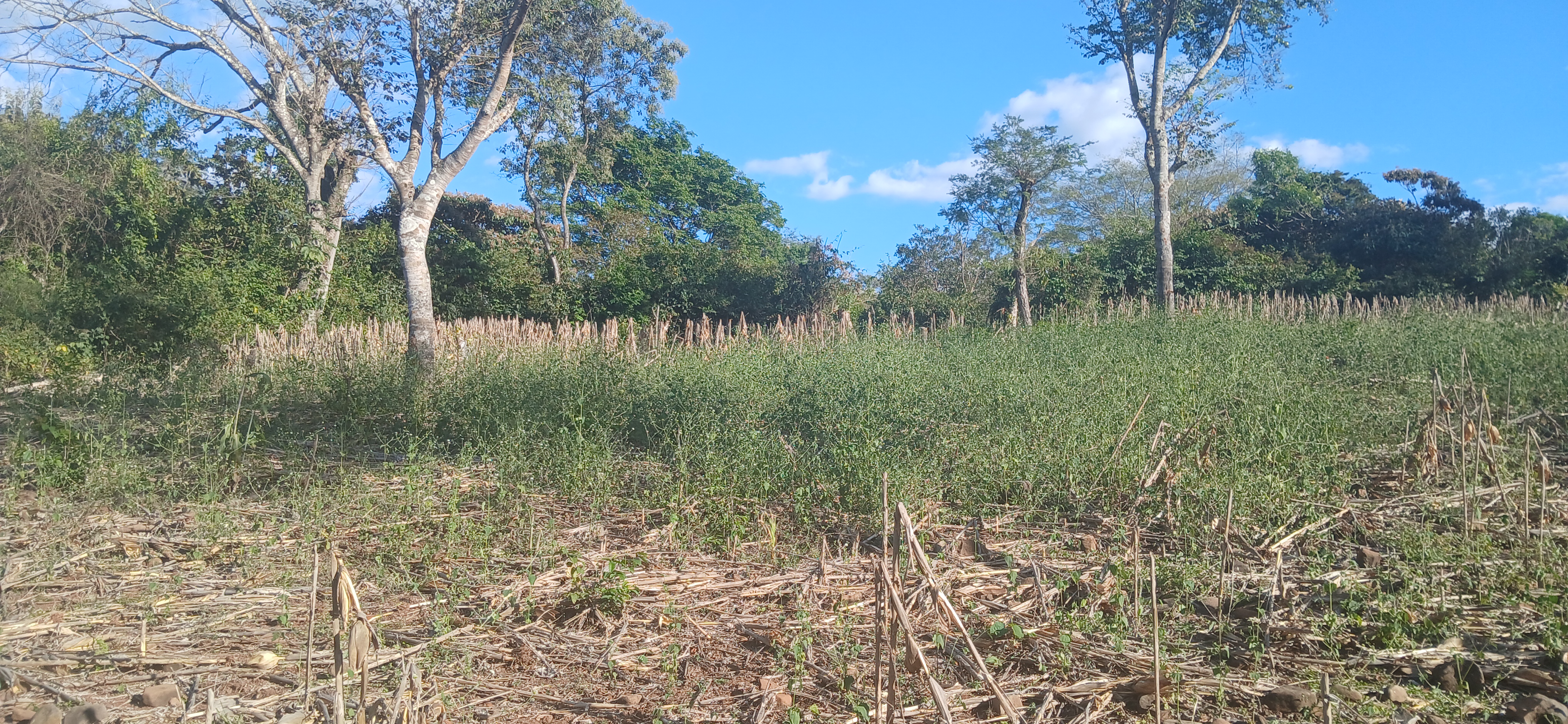 ¡Propiedad en venta en Guacotecti, Cabañas este !